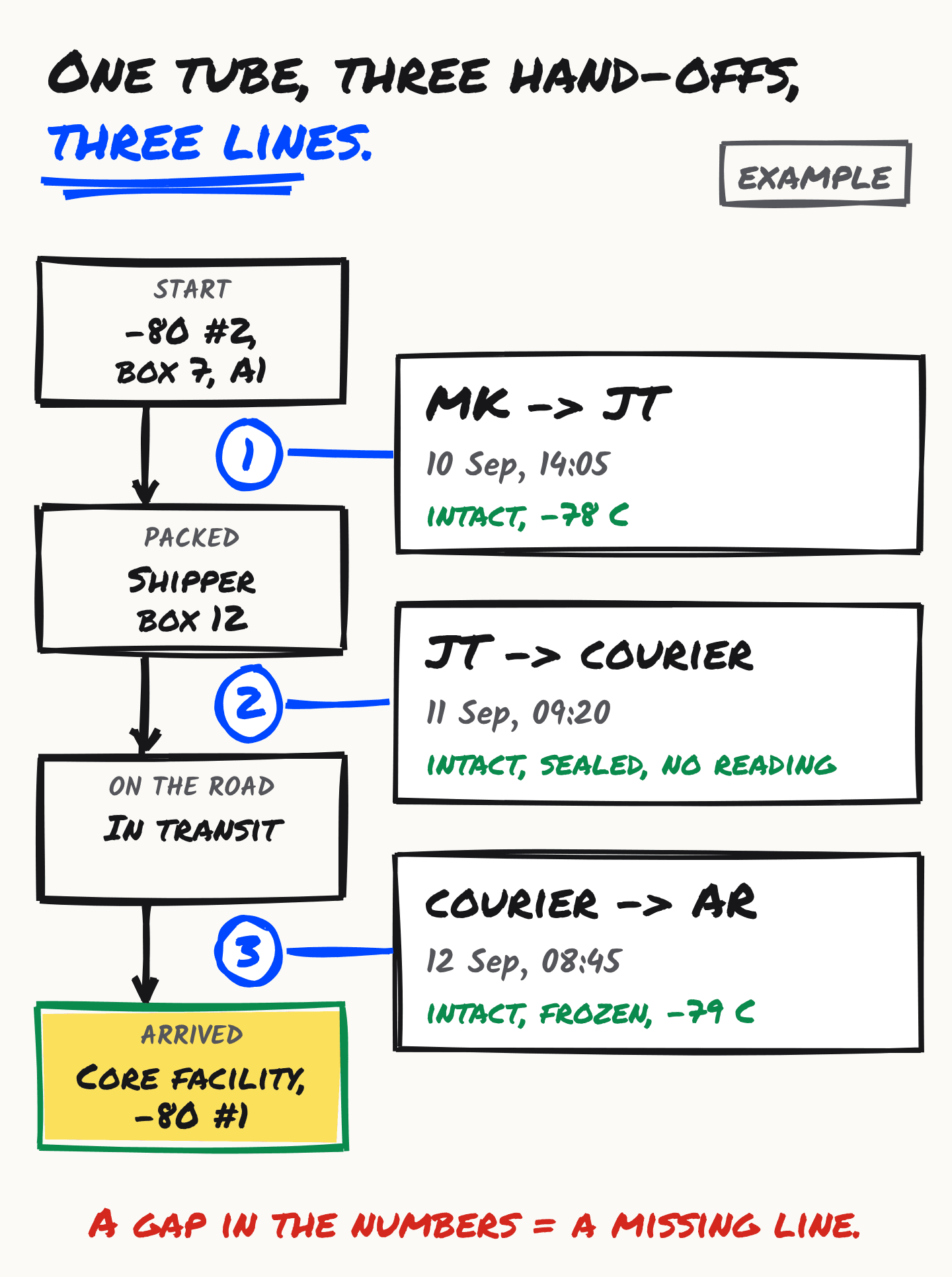 A hand-drawn example: one tube, three hand-offs, three lines. The tube moves from the freezer (-80 #2, box 7, A1) to a shipper box, then in transit, then to a core facility freezer. Line 1, MK to JT, 10 Sep 14:05, intact, -78 C. Line 2, JT to courier, 11 Sep 09:20, intact, sealed, no reading. Line 3, courier to AR, 12 Sep 08:45, intact, frozen, -79 C. A gap in the numbers is a missing line.