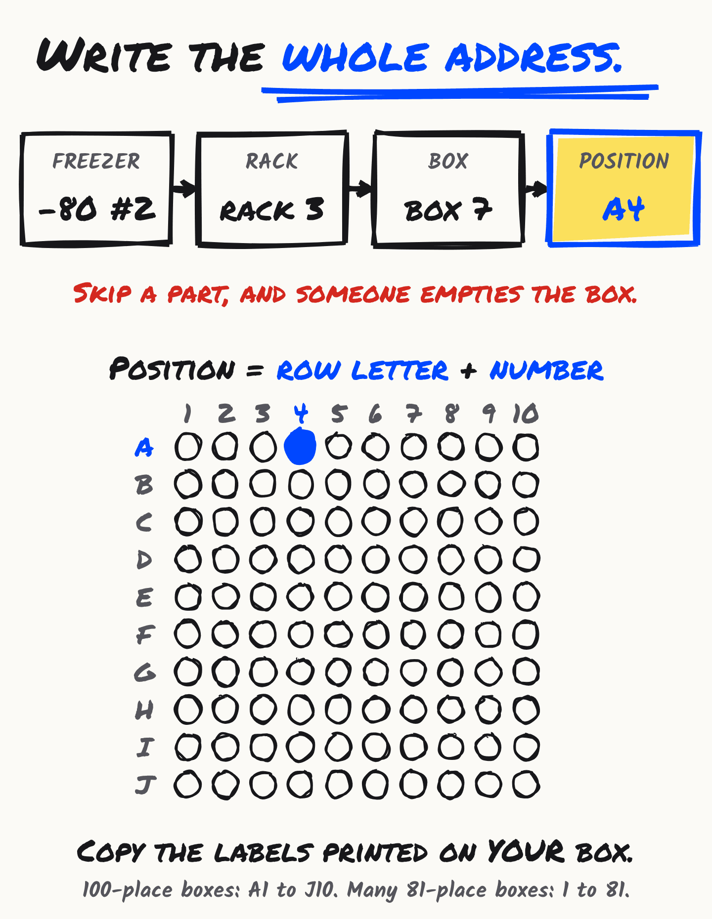 A hand-drawn figure: write the whole address. A tube's place in four parts, in order: freezer -80 #2, rack 3, box 7, position A4, with a warning that skipping a part means someone empties the box. Below, one 100-place box drawn as ten rows lettered A to J and ten columns numbered 1 to 10, with position A4 filled in (row letter plus number), and a reminder to copy the labels printed on your own box: A1 to J10 on 100-place boxes, 1 to 81 on many 81-place boxes.